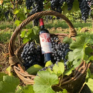 Bouteille d'Oxymore rouge dans ses grappes